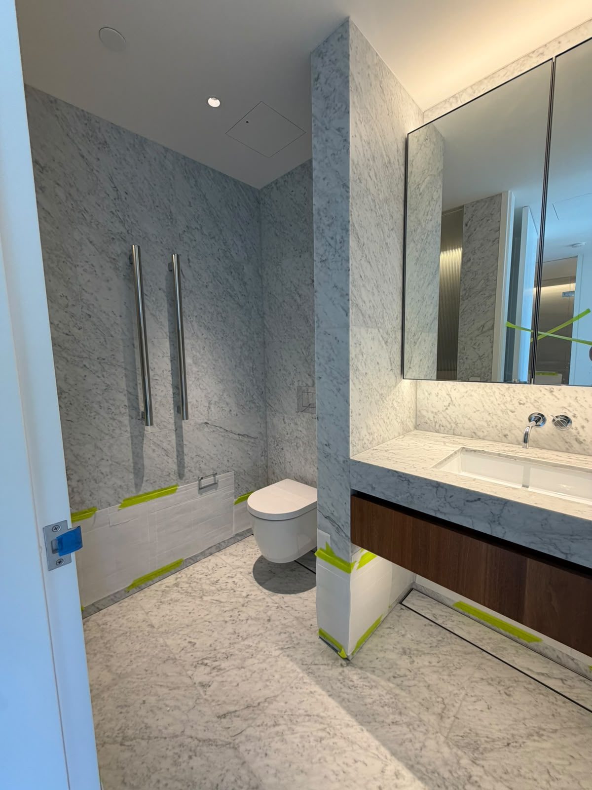 Bathroom renovation by Alta-Reno Services — toilet and handrails